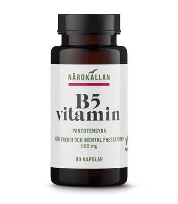 Närokällan B5 500 mg 90 kapslar